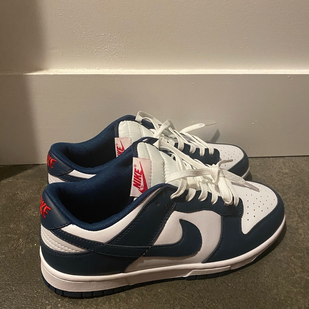 Nike Low Dunks